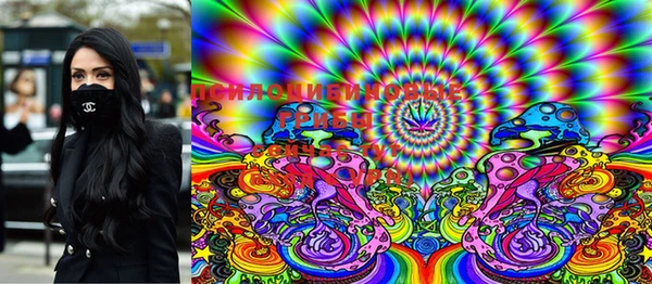 марки lsd Абаза